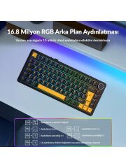 Aula F75 Mekanik Rgb Tkl Graywood V4 Switch Kablosuz Makrolu Hot Swap Türkçe Q Klavye Siyah