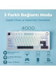 Aula F75 Mekanik RGB TKL Reaper Switch Kablosuz Makrolu Hot Swap Klavye Lacivert'