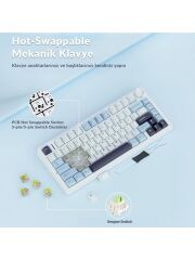 Aula F75 Mekanik RGB TKL Reaper Switch Kablosuz Makrolu Hot Swap Klavye Lacivert'