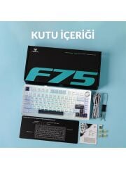 Aula F75 Mekanik RGB TKL Reaper Switch Kablosuz Makrolu Hot Swap Klavye Lacivert'